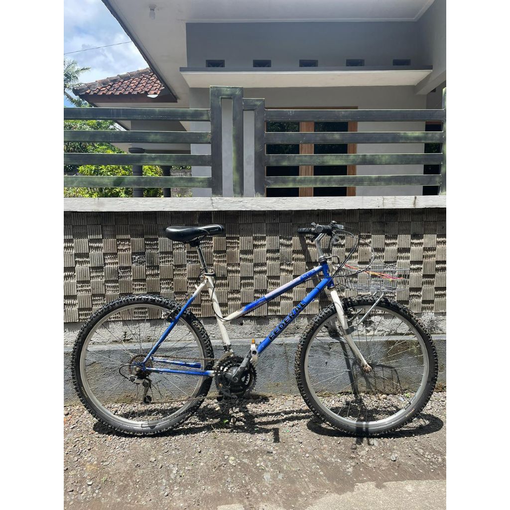 Commuter Bike Federal Wild Cat