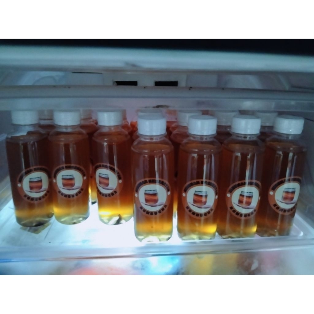minuman kesehatan kombucha