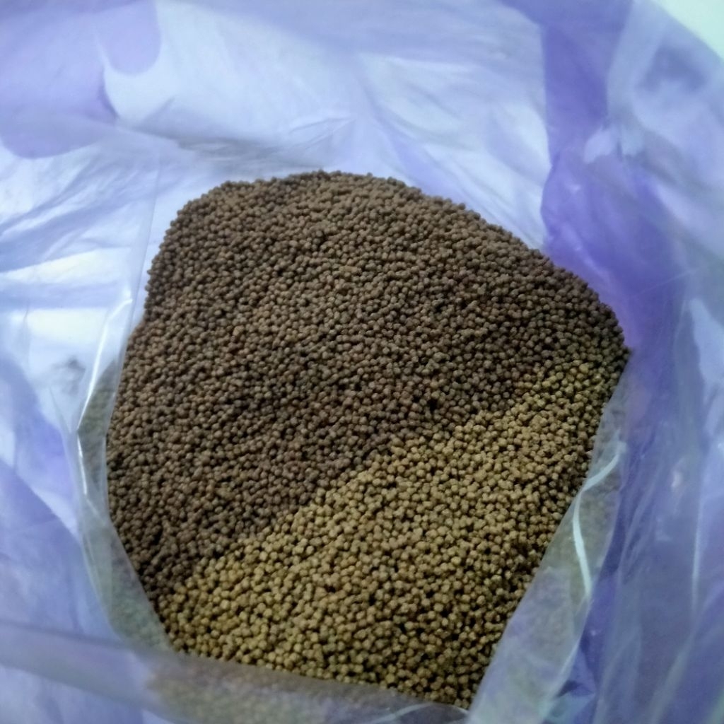 Pakan Ikan PF 1000, Nutrisi Tinggi untuk Ikan Nila, Gurame, Koi, Koki Cupang dan  Lele