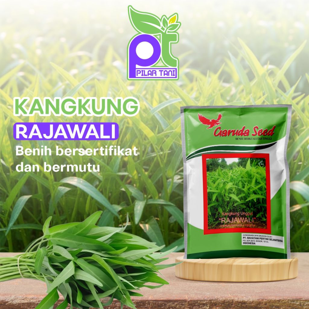 Benih Kangkung Rajawali - Garuda Seed
