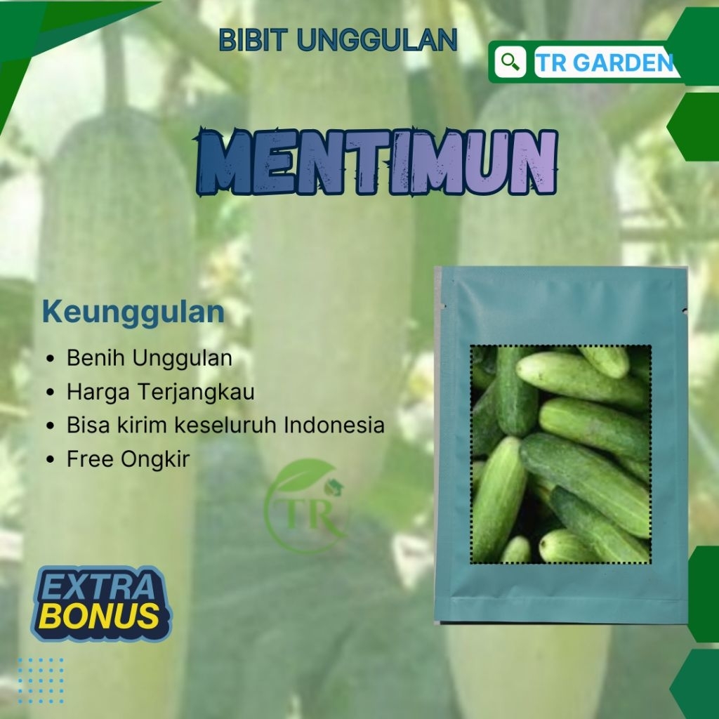 ( 5 biji ) Benih biji Timun | Sayuran mentimun lalap | ketimun