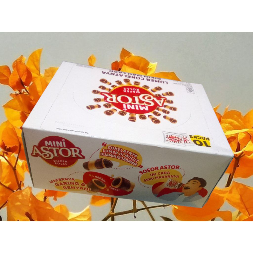 Wafer Coklat MINI ASTOR WAFER ROLLS 1 Kotak