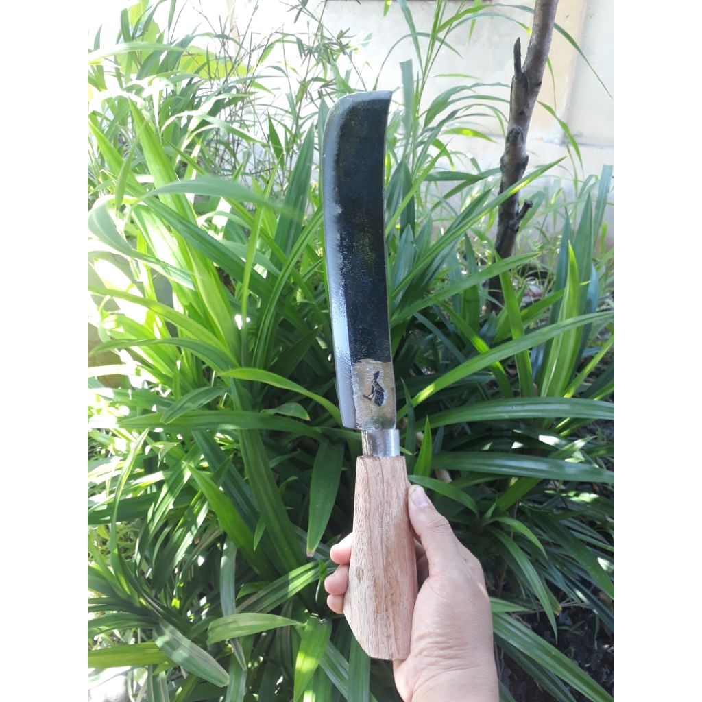 pisau kupas kelapa pisau cacah singkong pisau bambu