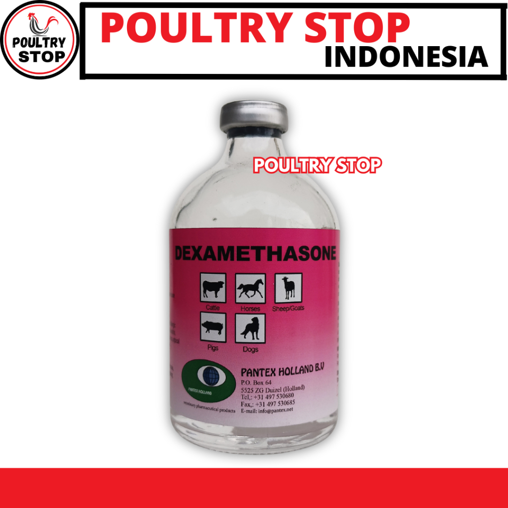 PANTEX DEXAMETHASONE 100ML - Obat Anti Inflamasi Hewan - Pantex Holland - Obat Sapi - Obat Kambing