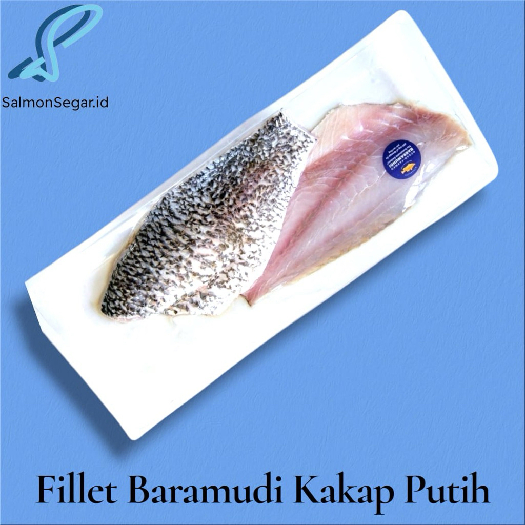 Baramudi Fillet - Kakap Putih Fillet Skinn on
