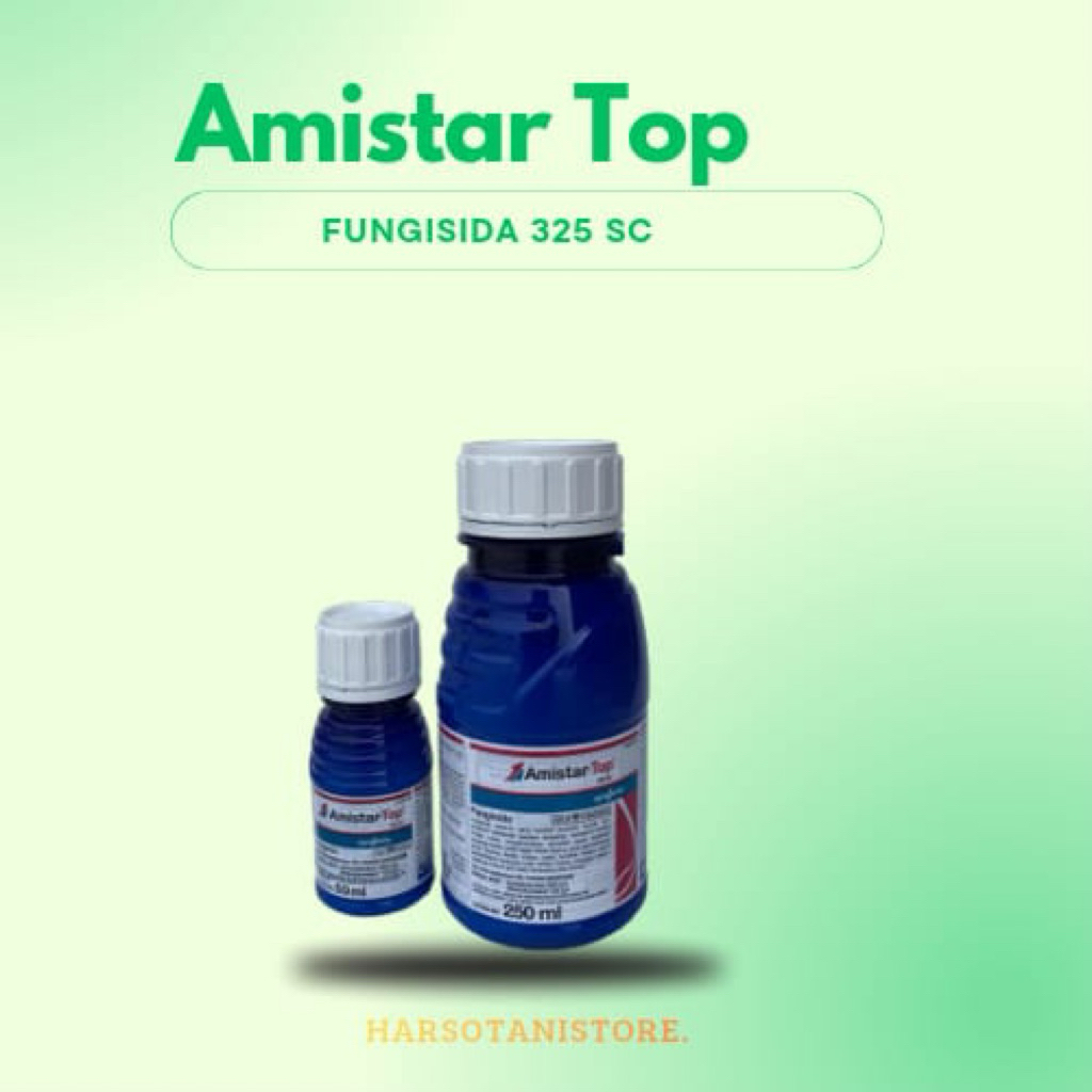 amistartop