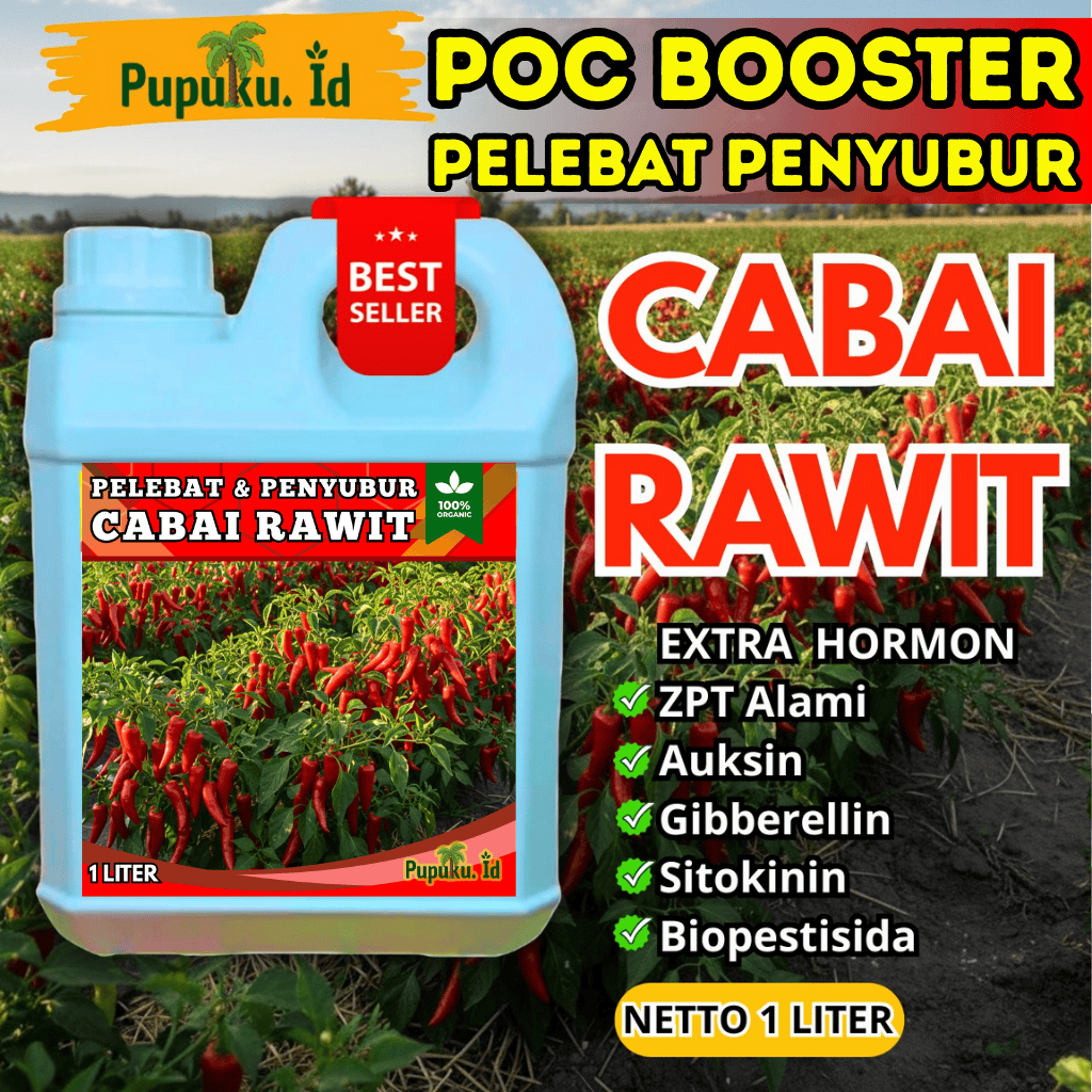 Pupuk booster cabai rawit perangsang bunga dan pelebat buah anti rontok | pupuk mempercepat pertumbu