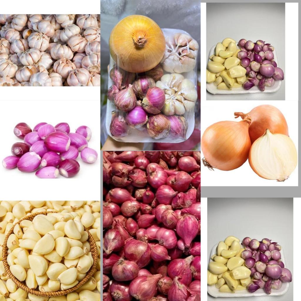 Aneka Bawang Merah 250gr Bawang Putih Bawang Bombay Segar