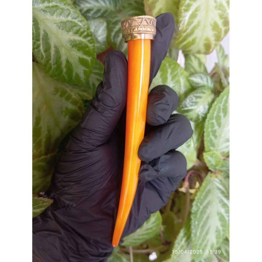 once tulang sapi import model T4ring