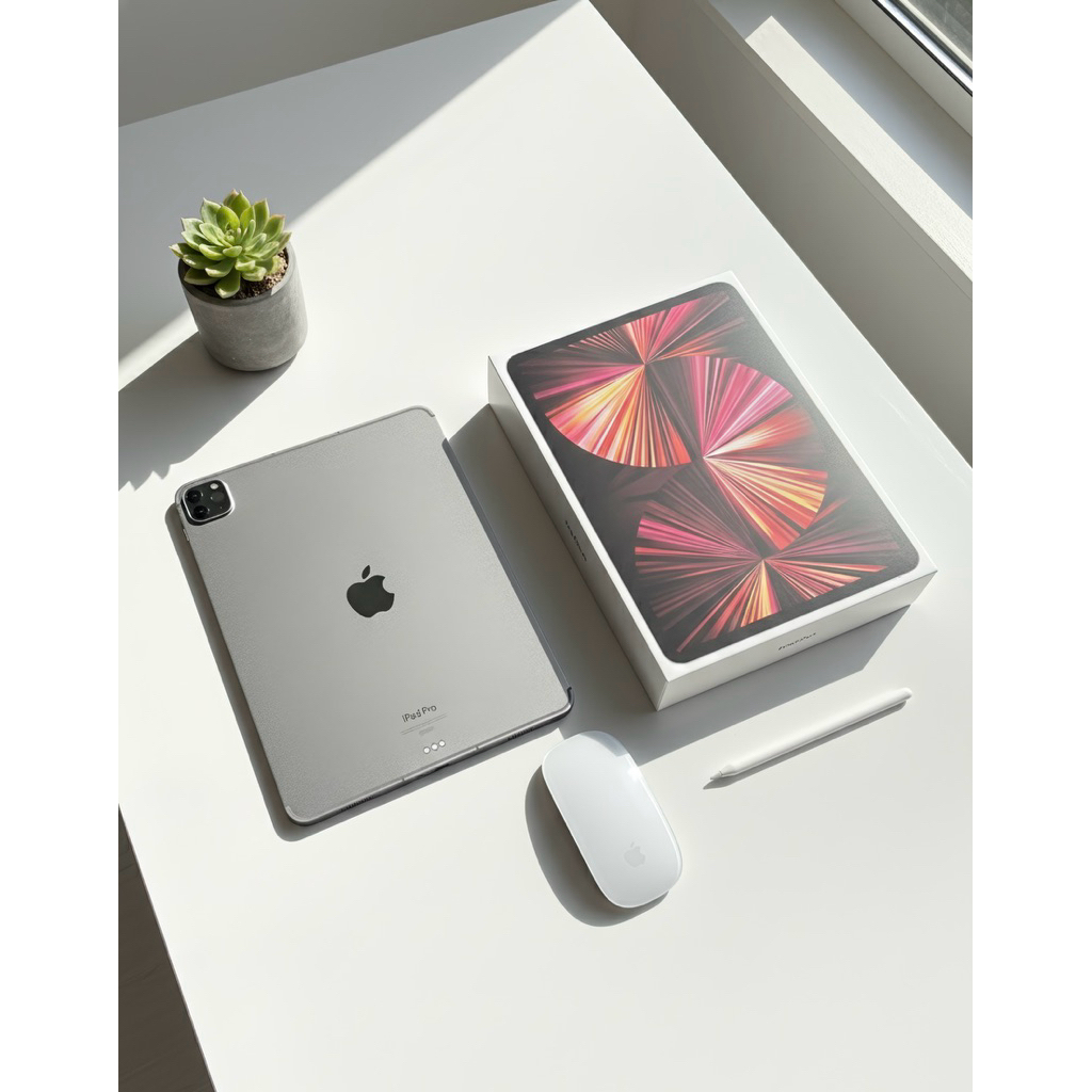 Fullset Ipad Pro M1 256Gb