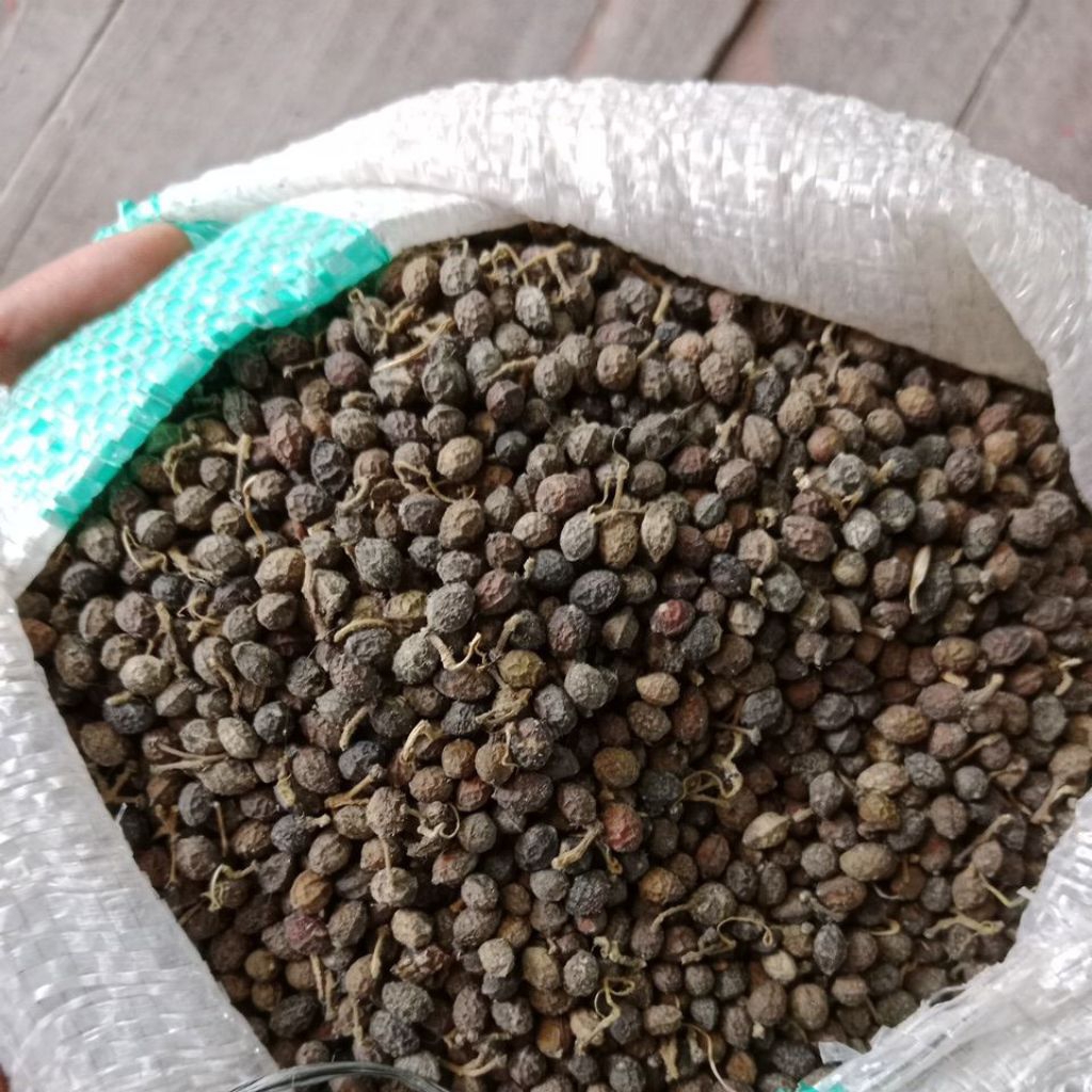 BIJI KWALOT | WALOT | MALUR | MELUR  KERING BUAH MAKASSAR 500Gram HERBAL ALAMI