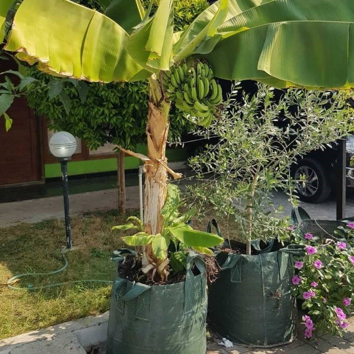 Planter Bag 100 Liter Tall Original Easy Grow - PLANTER BAG HIJAU 100 LITER - Planter Bag Tinggi