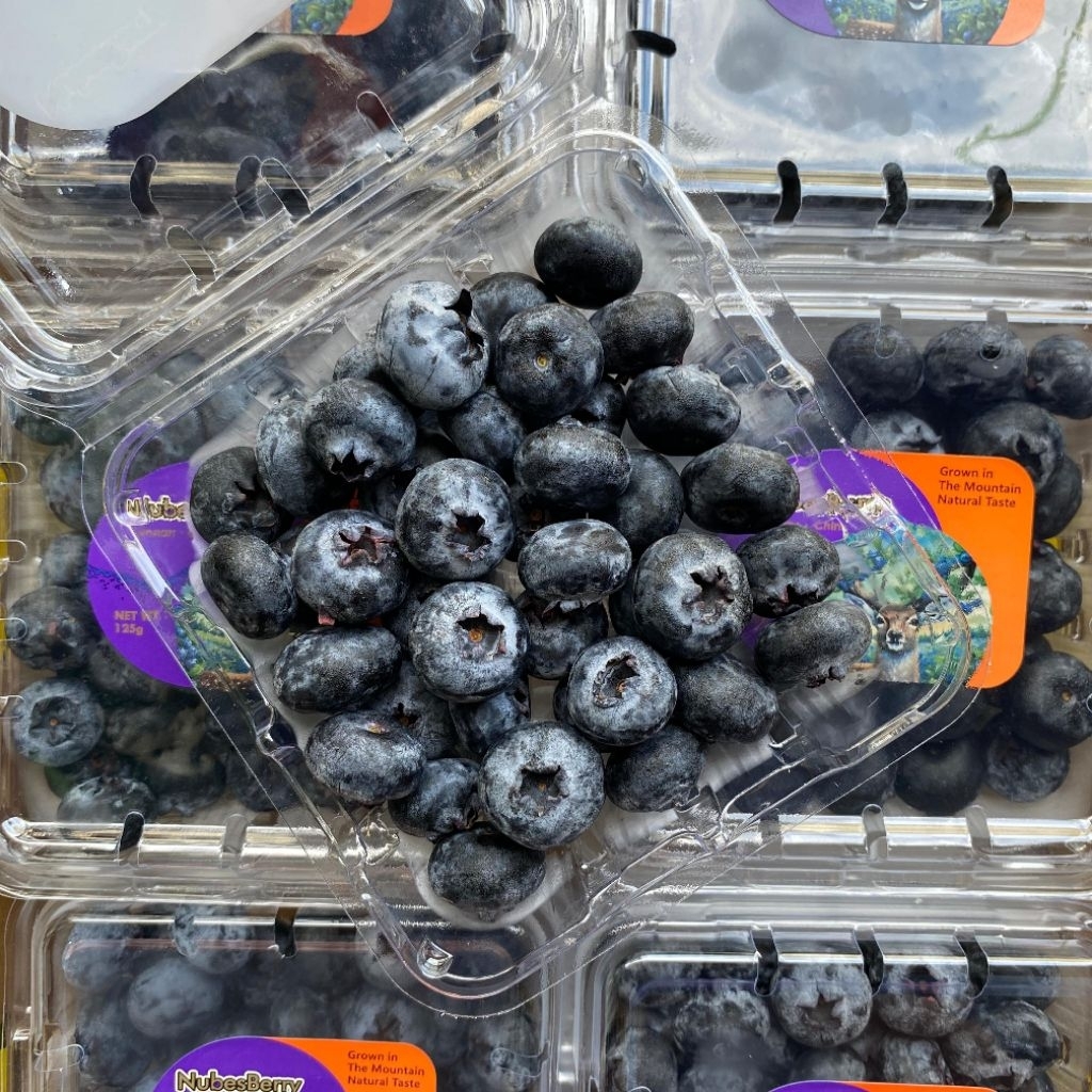 Blueberry china 125gr fresh