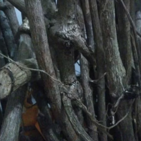 Kayu Tlogosari Asli Kalimantan Harga Per 1cm