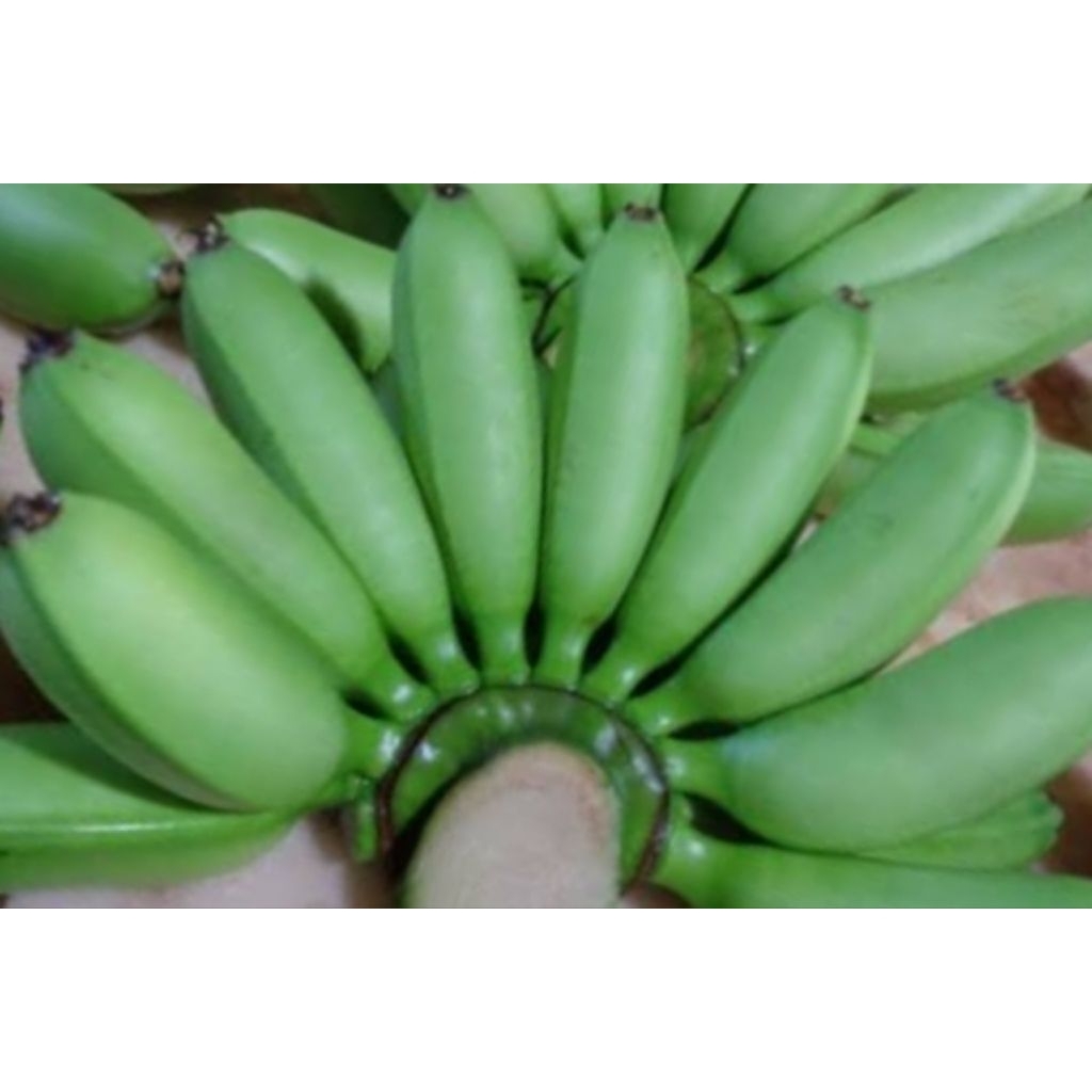 pisang lampung mentah 1 kg /pisang lampung manis enak/pisang lampung promo murah /pisang lampung asl