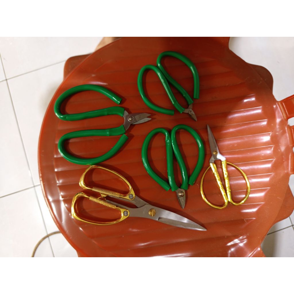 Gunting Kodok Kawat Emas Dan Seng plat Emas Model Kodok Besar