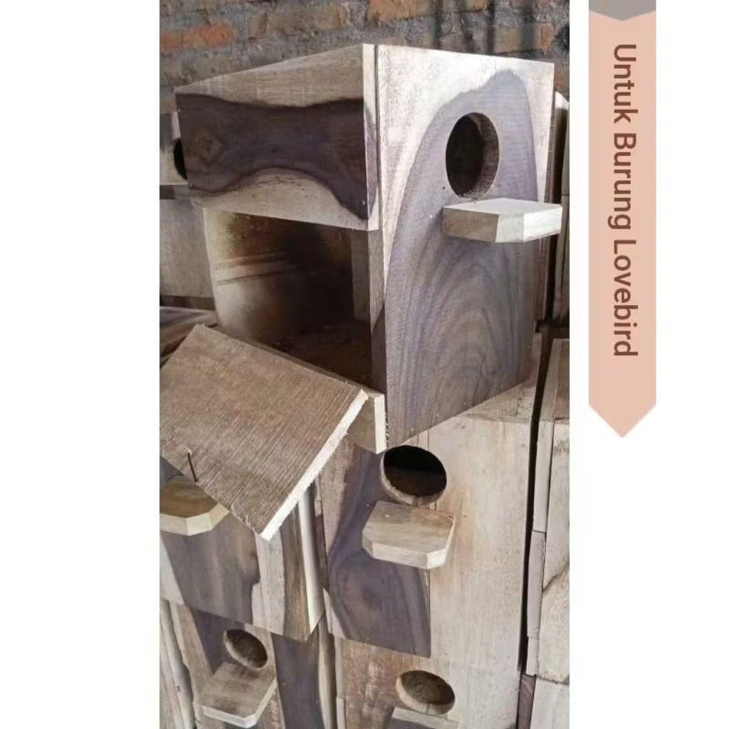 glodok lovebird pintu samping dan depan sonokeling