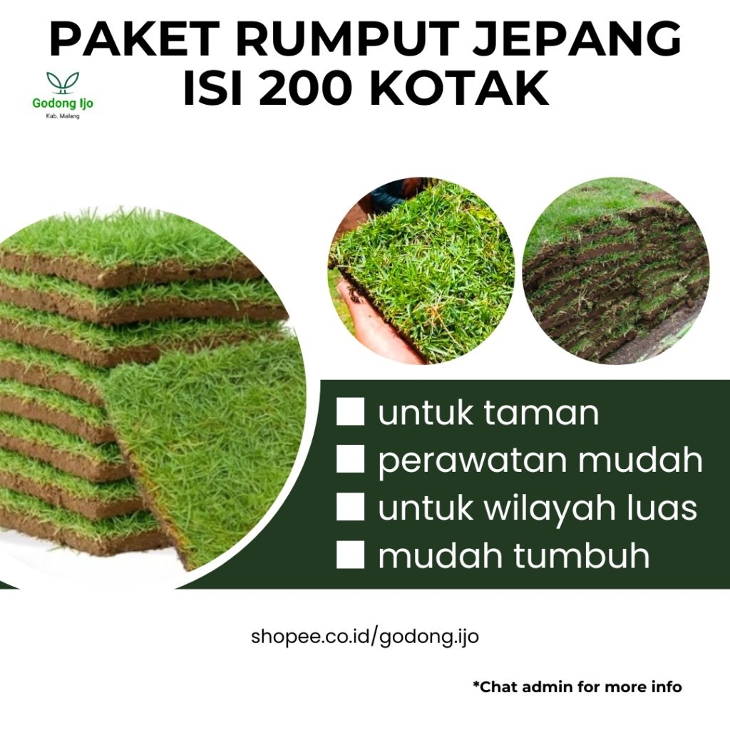 RUMPUT JEPANG PERKOTAK|RUMPUT KUBURAN ISI 200 KOTAK/PCS