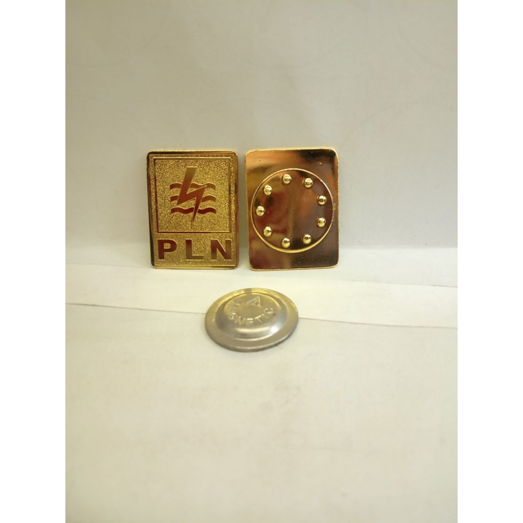 pin PLN