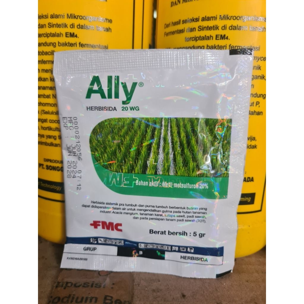ally 20WG