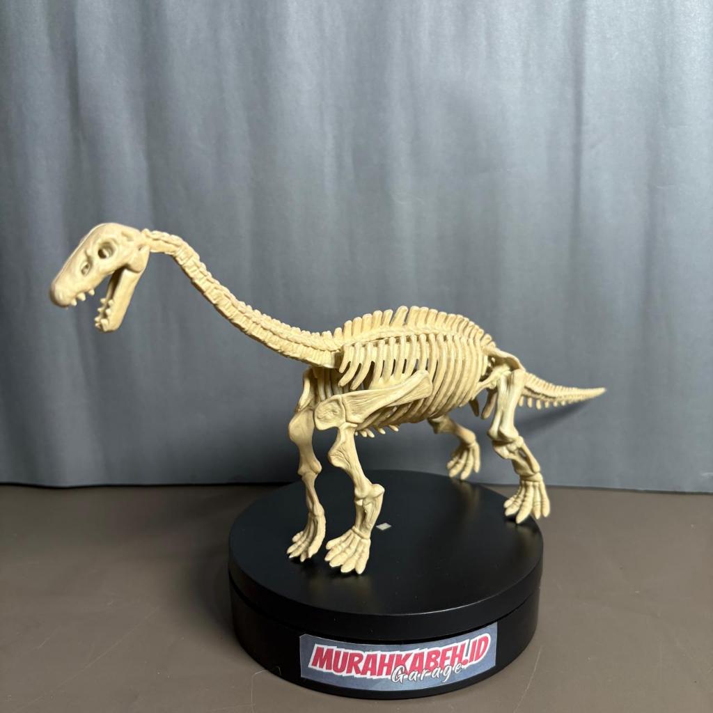 Animal Figure Archaeology Science Skeleton Diplodocus - Dinosaur Skeleton - Tulang Diplodocus  - Mai