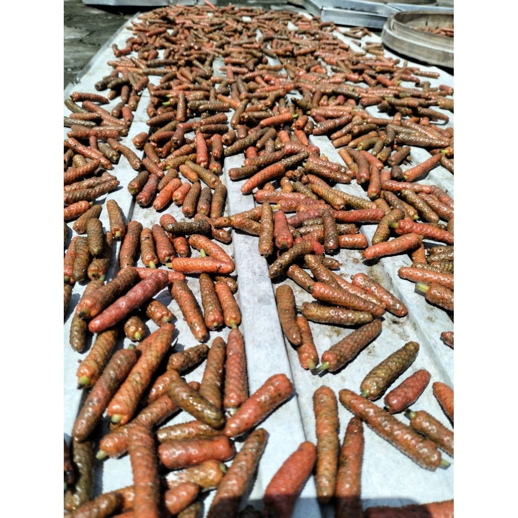 Cabe Jamu Cabe Jawa Basah