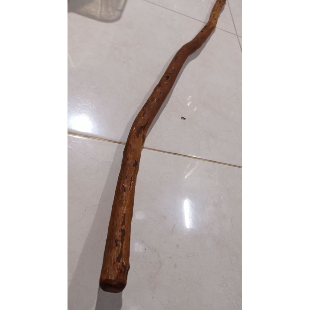 kayu Sulaiman gunung panjang 1 meter