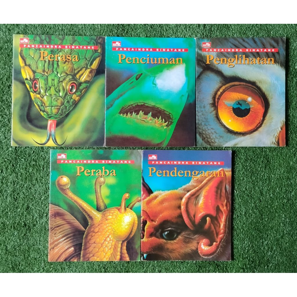 Paket Panca Indra Binatang (isi 5 buku) (Ori, Bekas, Preloved)