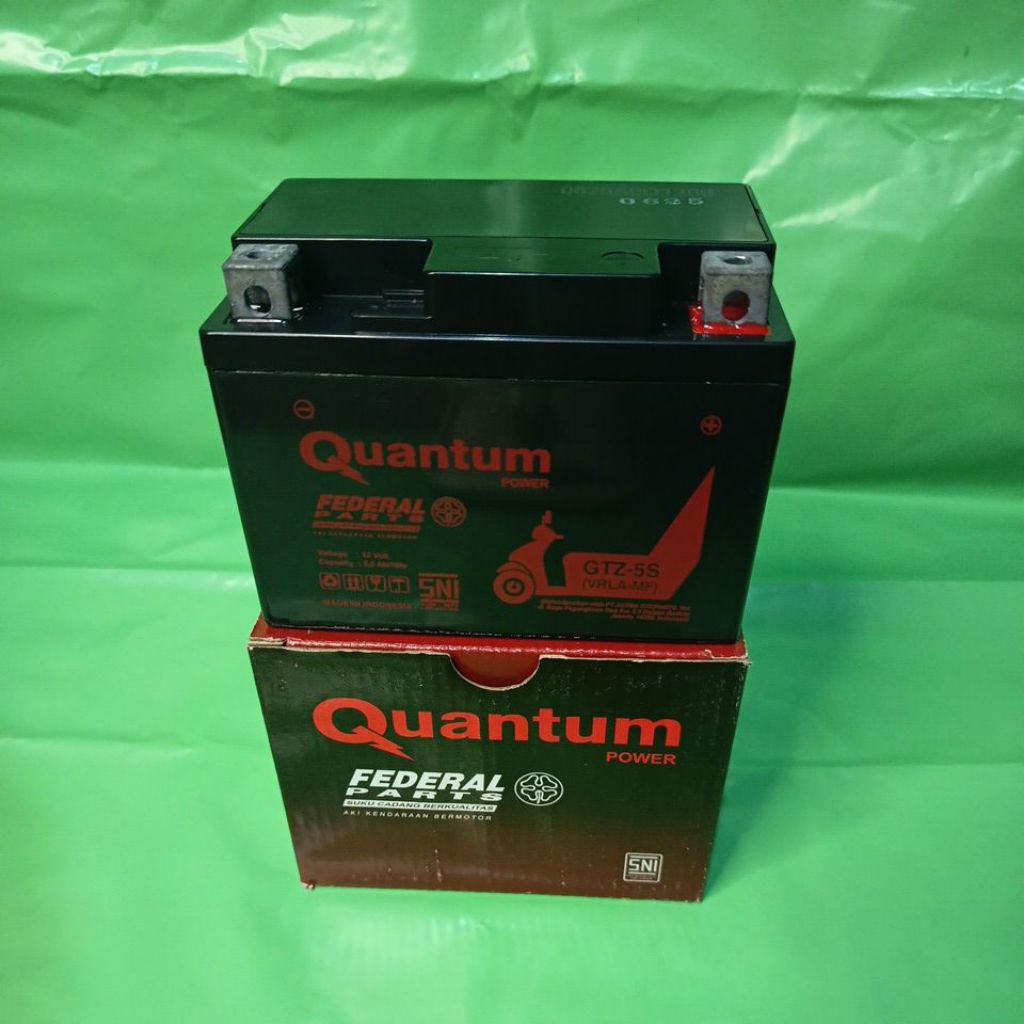 Aki Federal Quantum GTZ5S