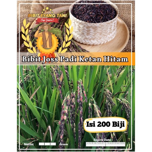 Bibit Joss Padi Ketan Hitam | Biji Benih Padi Pulut Hitam | Padi Ketan Hitam