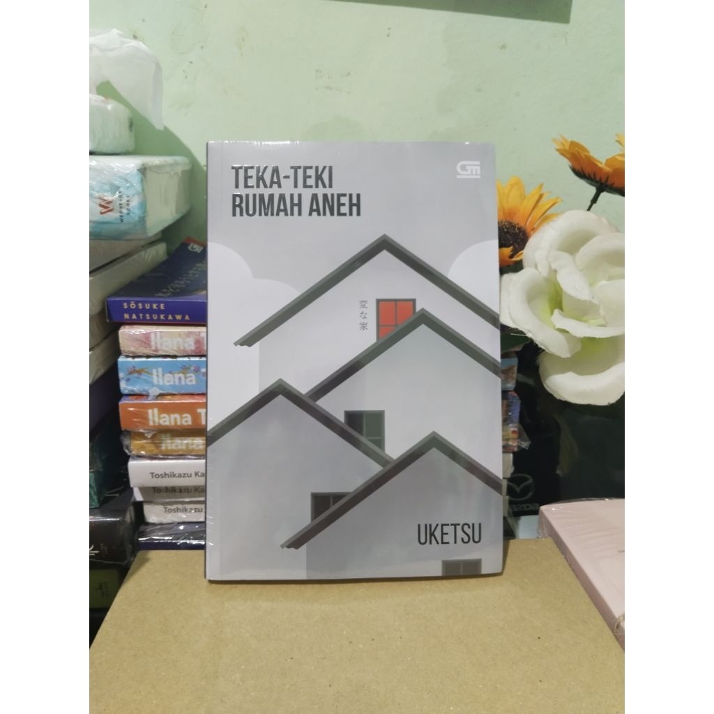 Novel Teka Teki Rumah Aneh/Teka Teki Gambar Aneh New Sealed Original