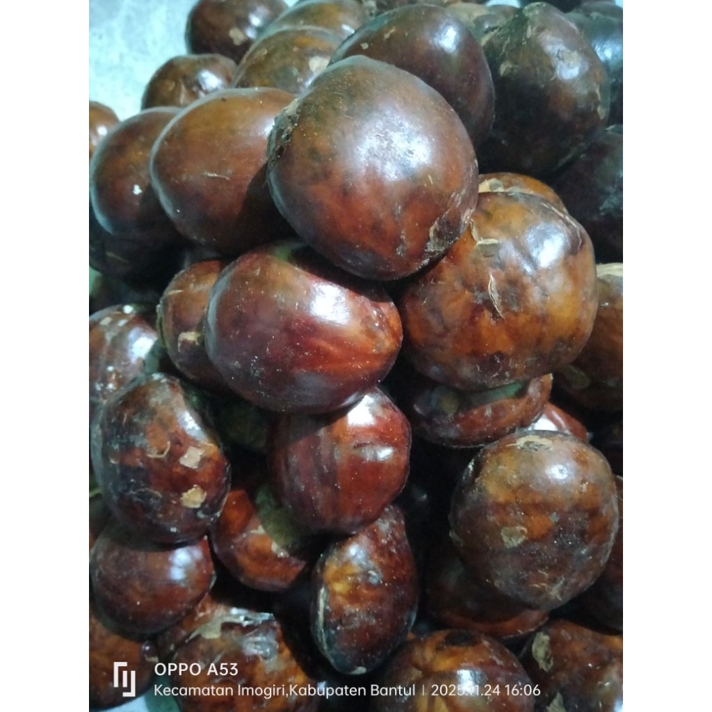 Jengkol Tua Mentah 1kg - Segar, Pulen, Langsung dari Pohon