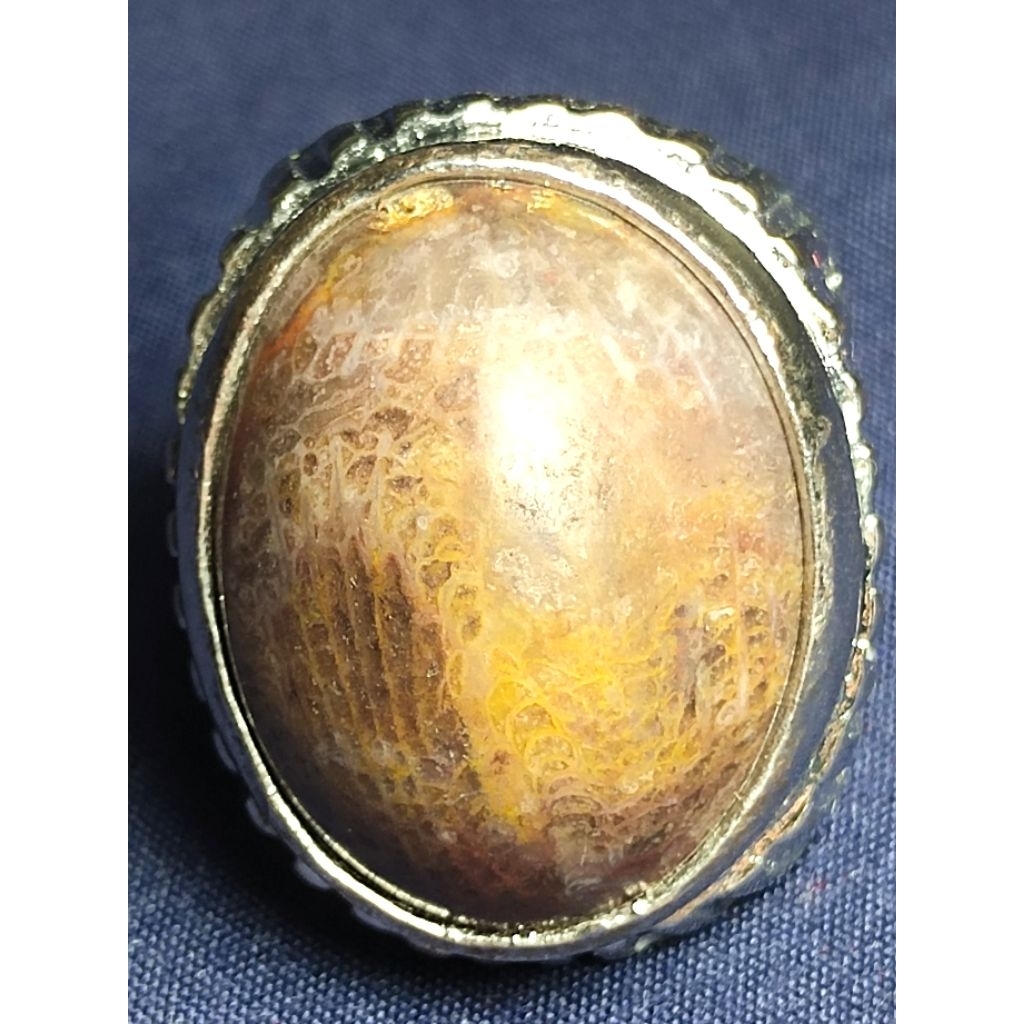 Natural Agatized Coral / Batu Teratai, LAWASAN