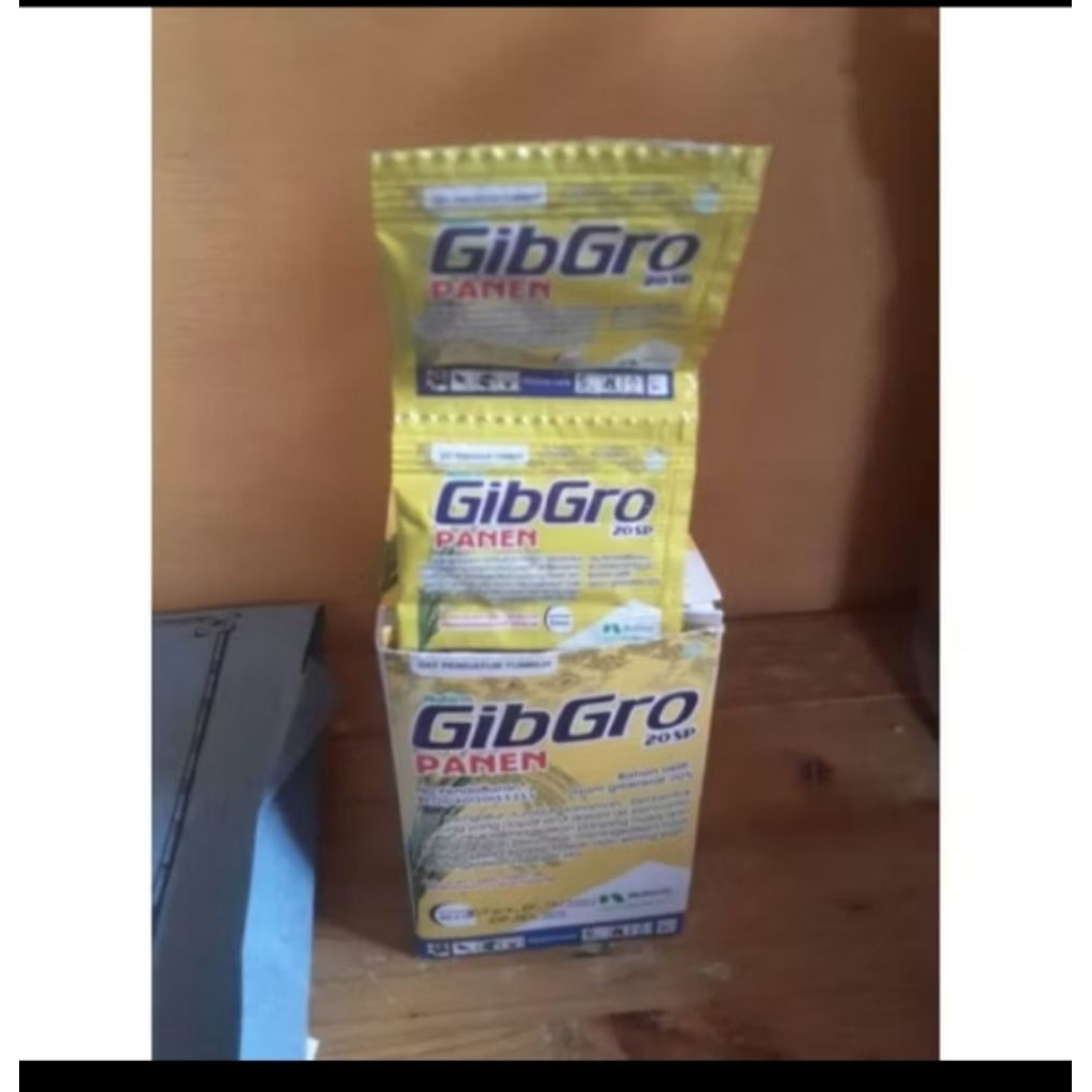 GIBRO PANEN 20sp