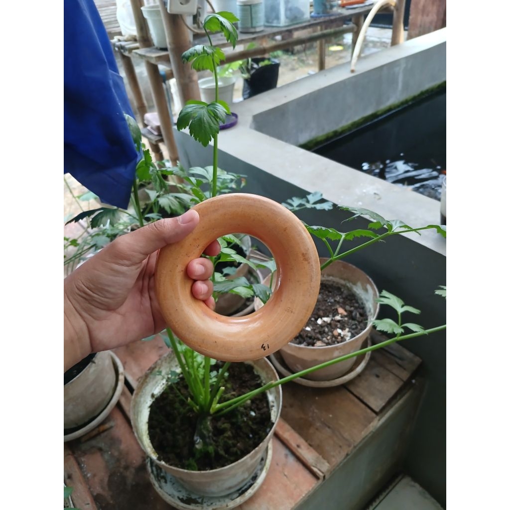 Gulungan Kayu Uk 13cm, 14 cm / Puyen Kayu / Gogolong Senar Pancing