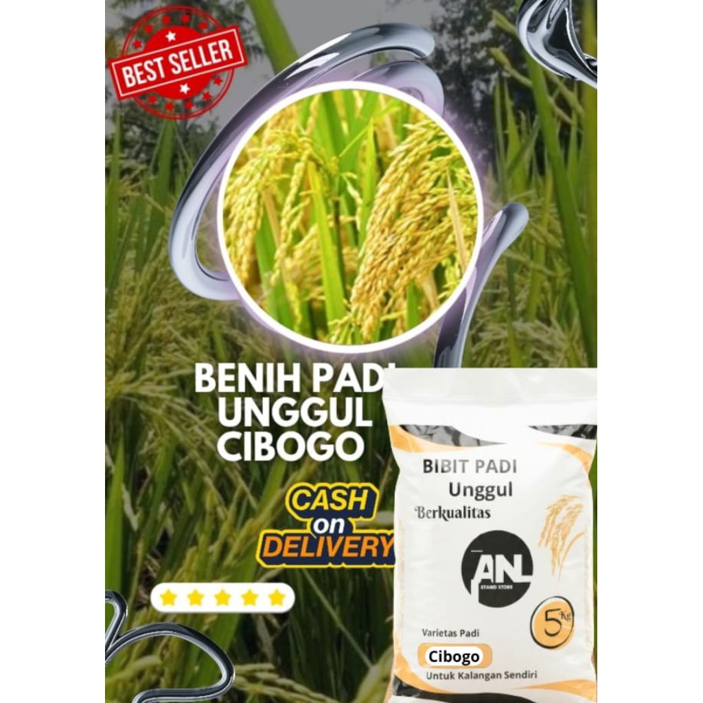 Benih Padi Unggul Cibogo Original Premium Kemasan 5 Kg