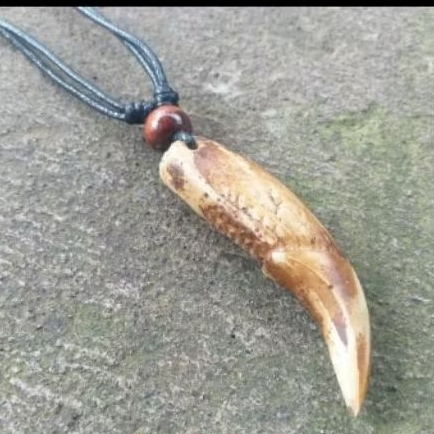 kalung taring beruang