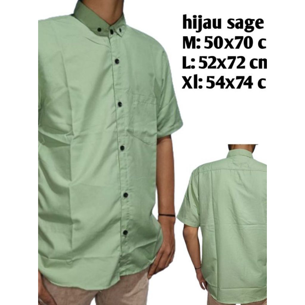 kemeja pria warna hijau sage.kemeja polos pria lengan pendek hijau sage.baju pria lengan pendek