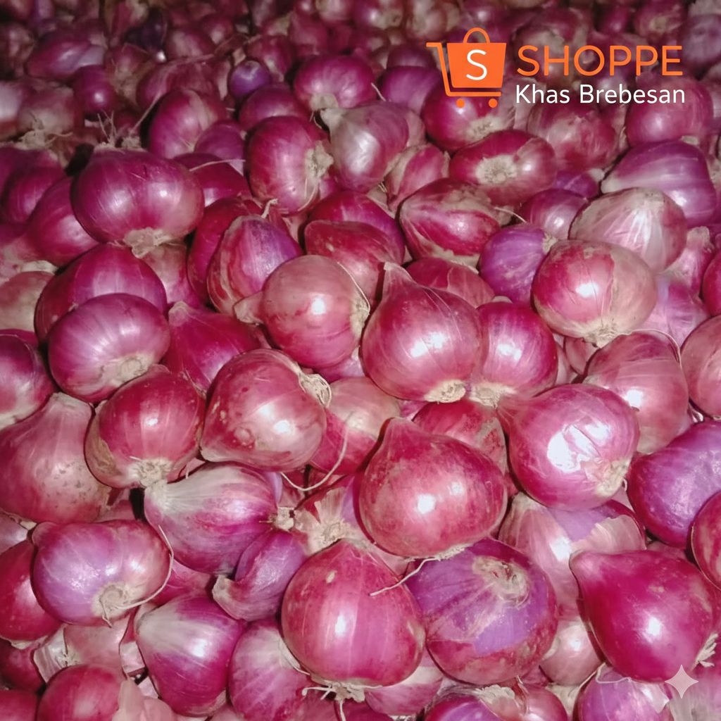 Bawang Merah Brebes Asli (Super & Segar) – Langsung dari Petani