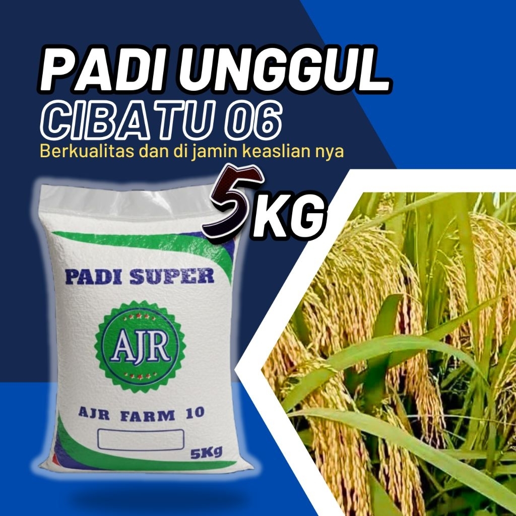 benih padi unggul Cibatu 06 original 5kg