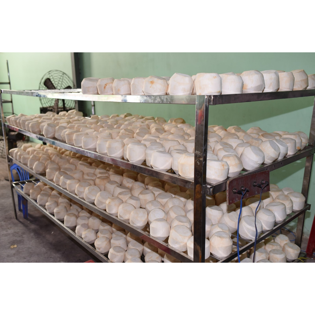 Kelapa Muda Kupas papas Kerucut Diamond Ala Thailand - Ratu Degan