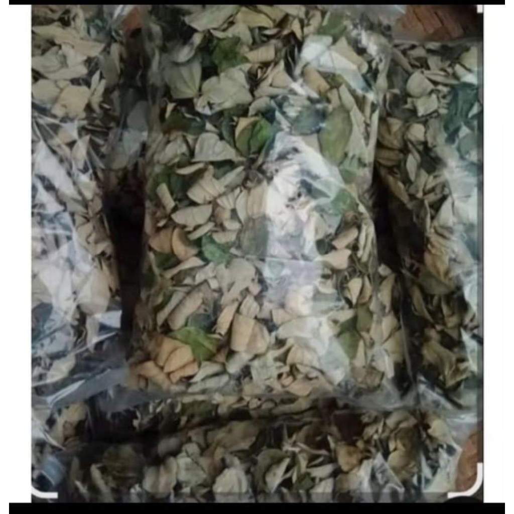 TEH DAUN BIDARA KERING