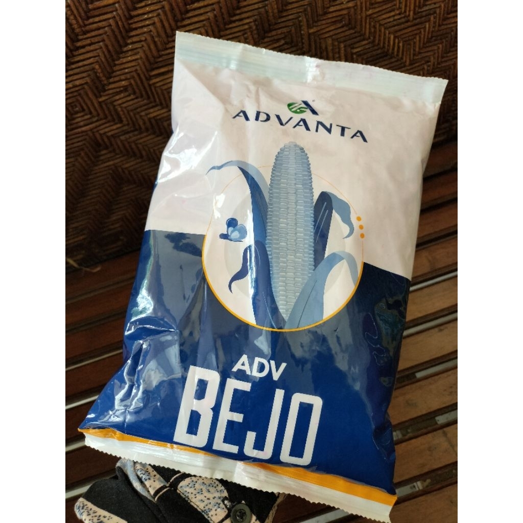benih jagung ADV BEJO 1 kg