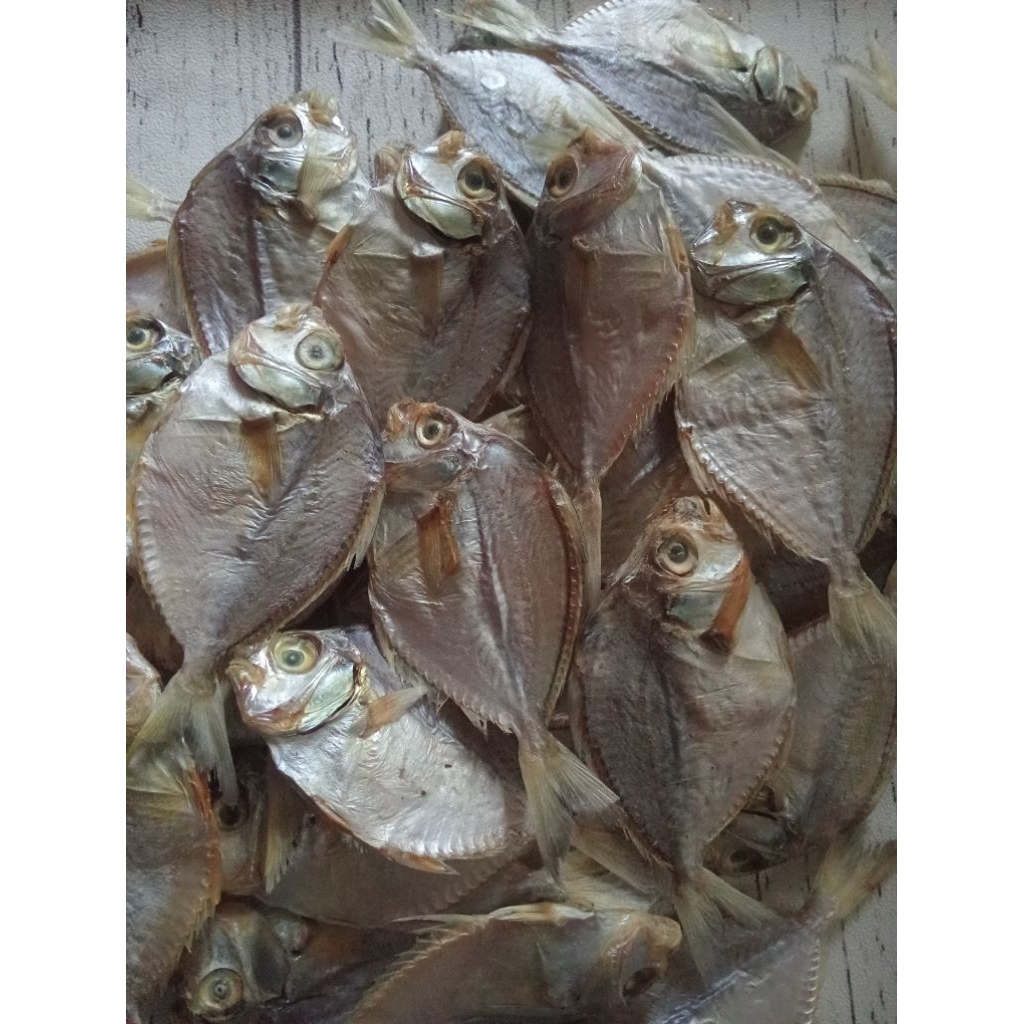 IKAN ASIN DODOK KERING