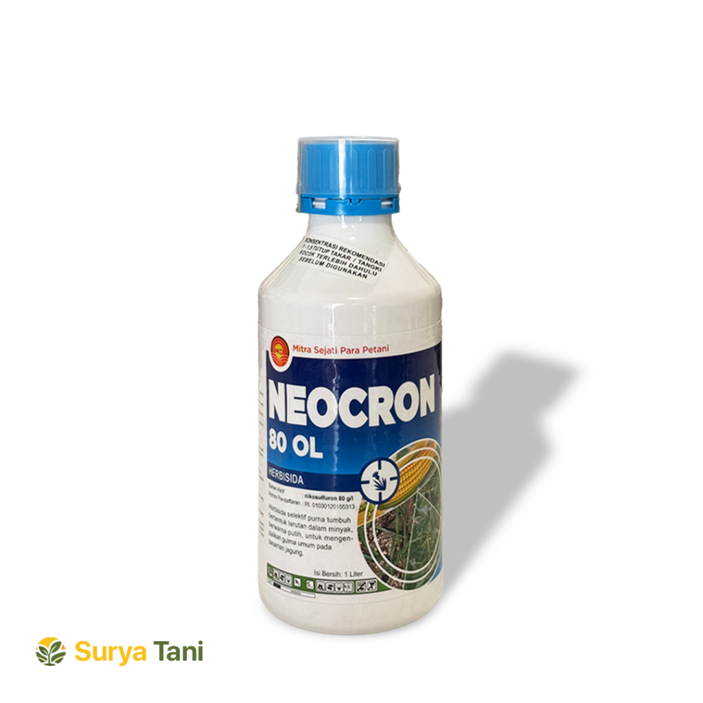 Neocron Obat Sistemik Selektif Jagung | Pembasmi Rumput