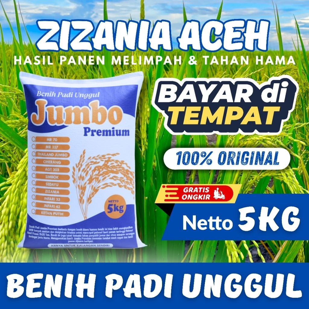 Benih Padi Unggul Zijania Aceh Kemasan 5Kg Original