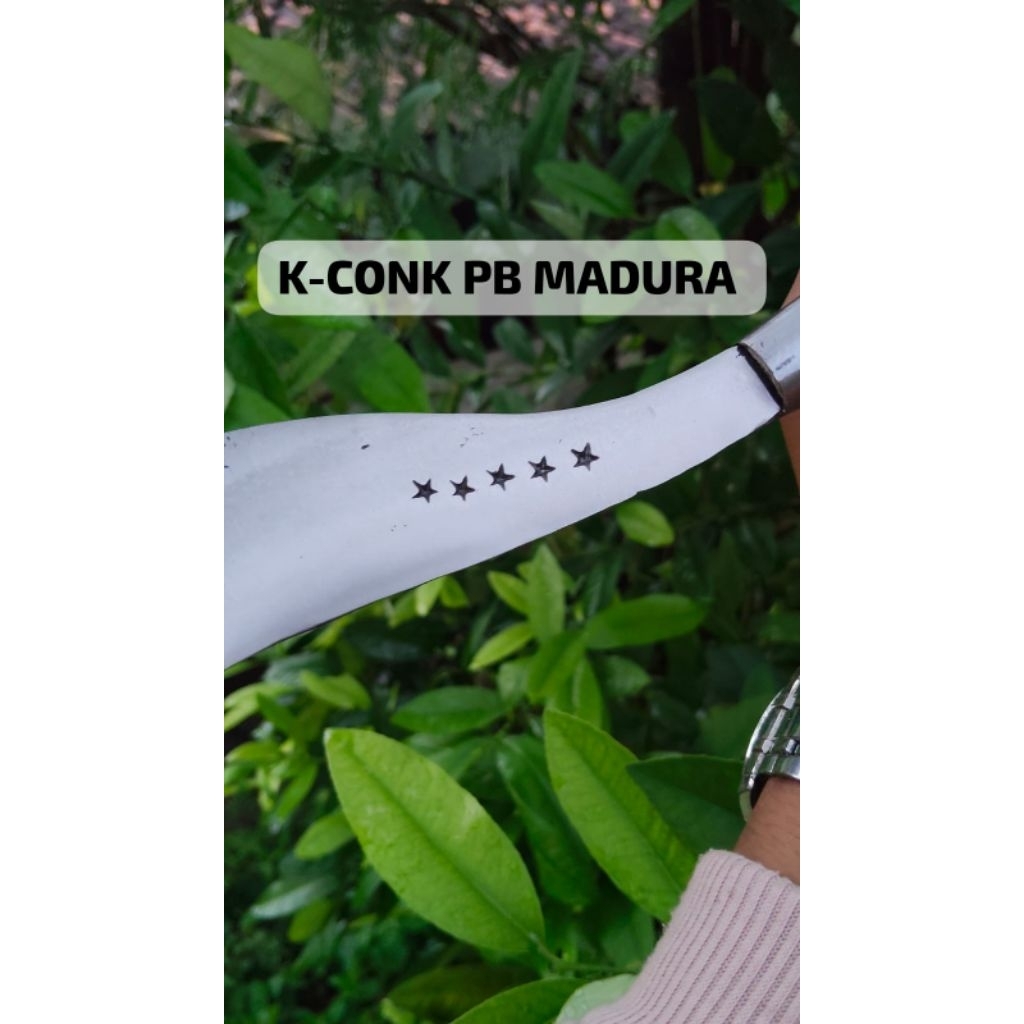 arit/sabit rumput tradisional asli baja