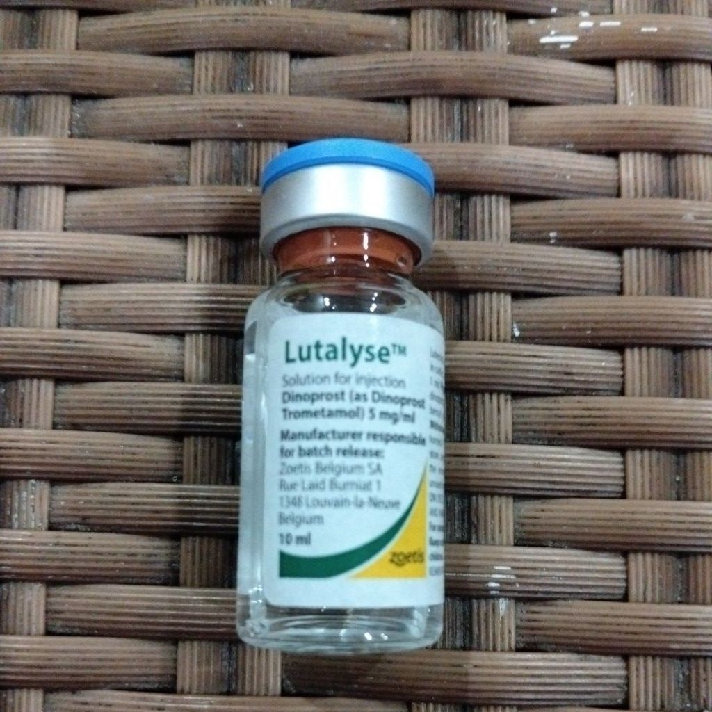 Lutalyse hormon Pgf2@