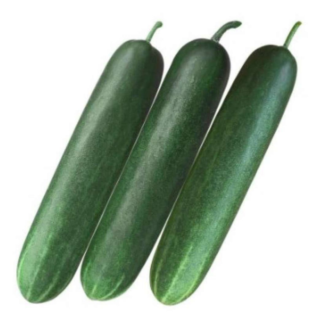 Timun hijau segar/mentimun