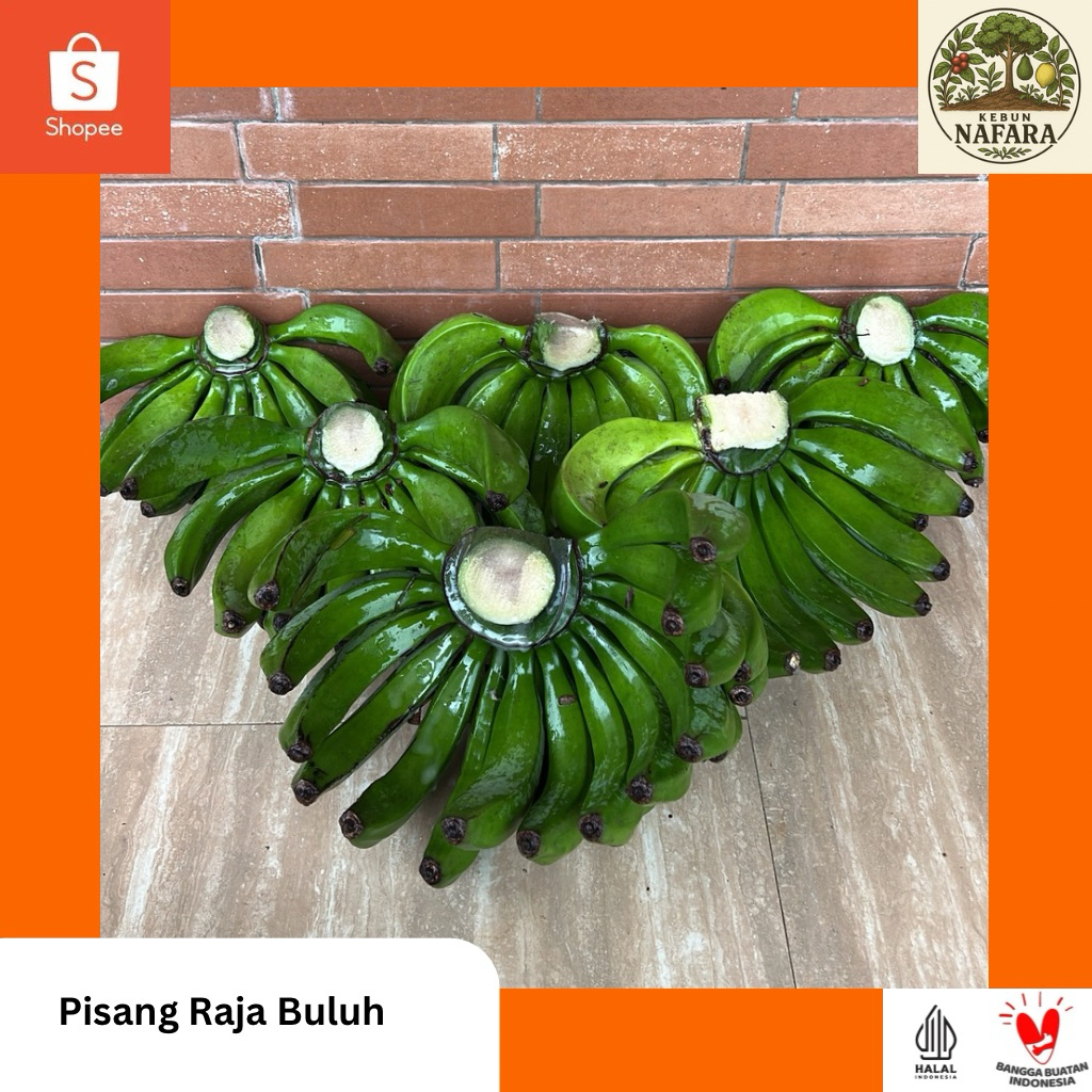 Pisang Raja Buluh Nafara (Persisir) / Pisang Makan / Pisang Olahan
